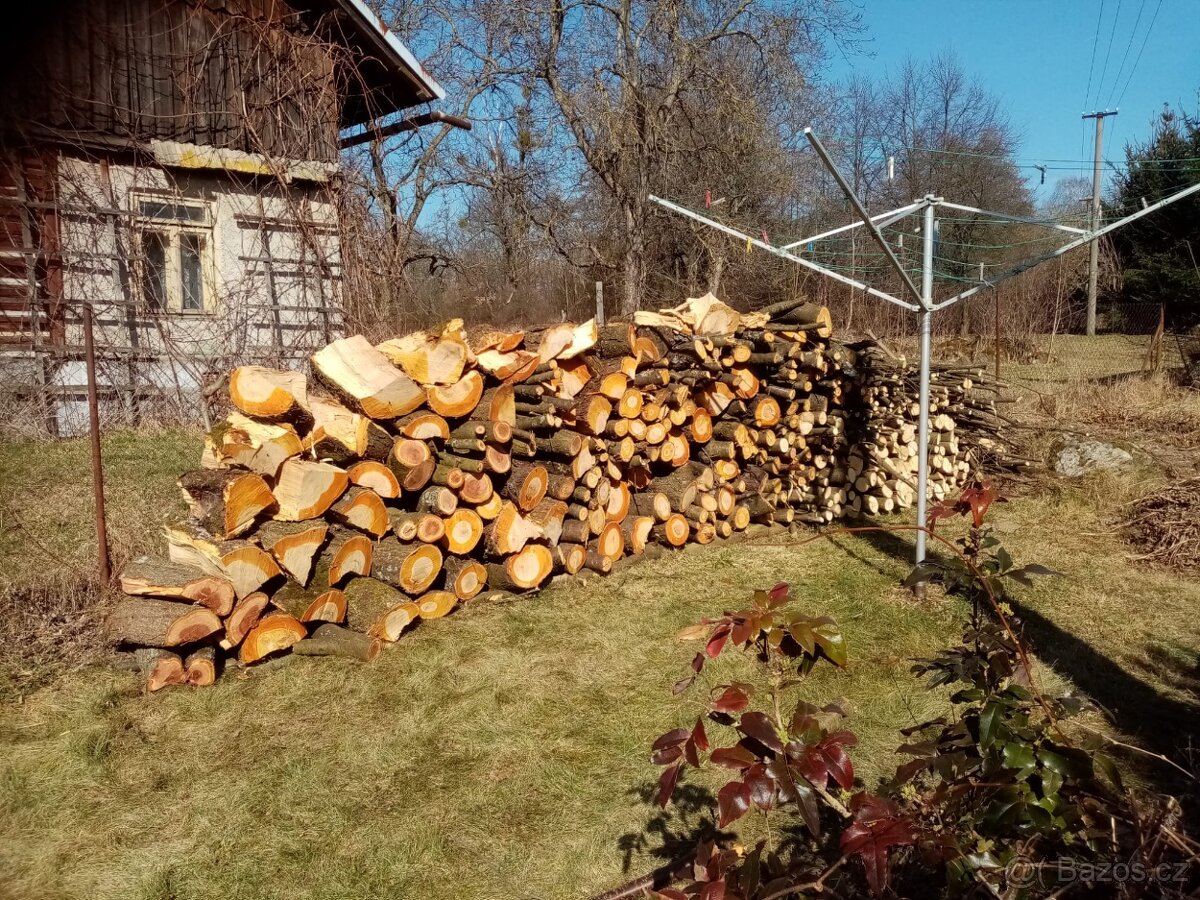 Ovocné stromy na uzemí.