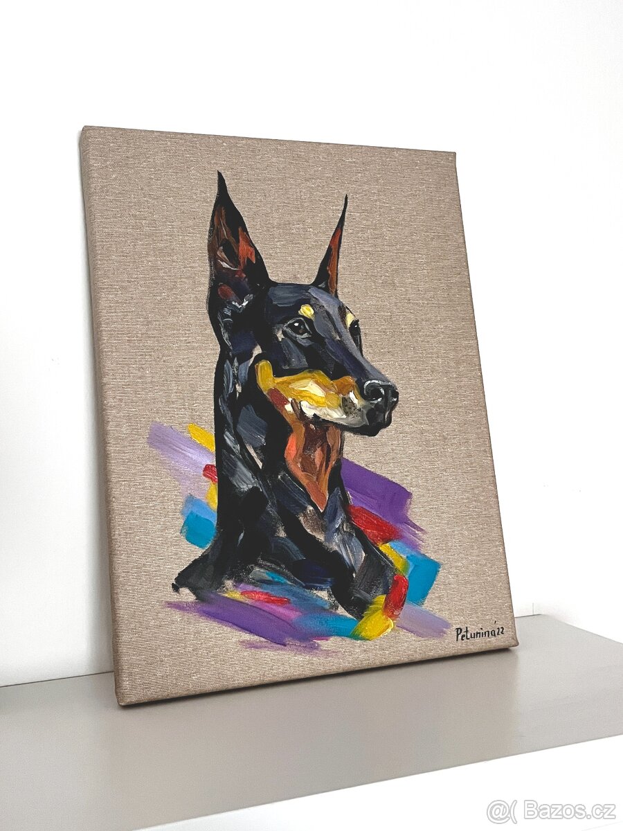 VYPRODEJ Obraz olejomalba na plátně pes dobrman, 30x40 cm