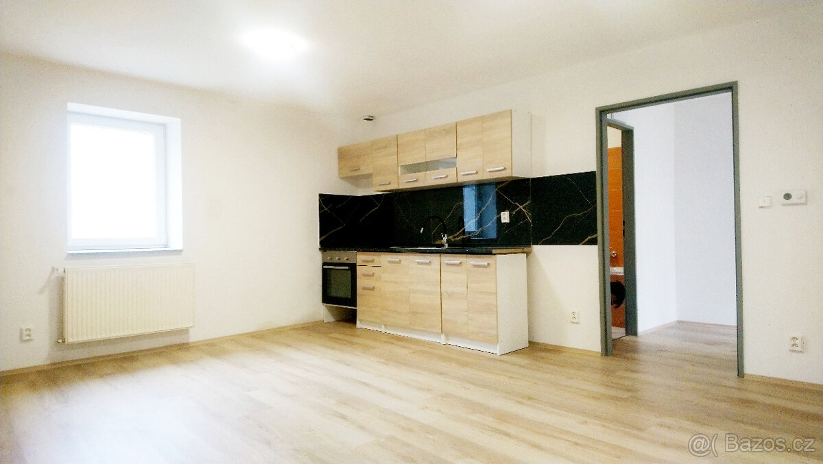 Pronájem 1+kk, 50m2 (Horní Růžodol, ul. Dr. M. Horákové)
