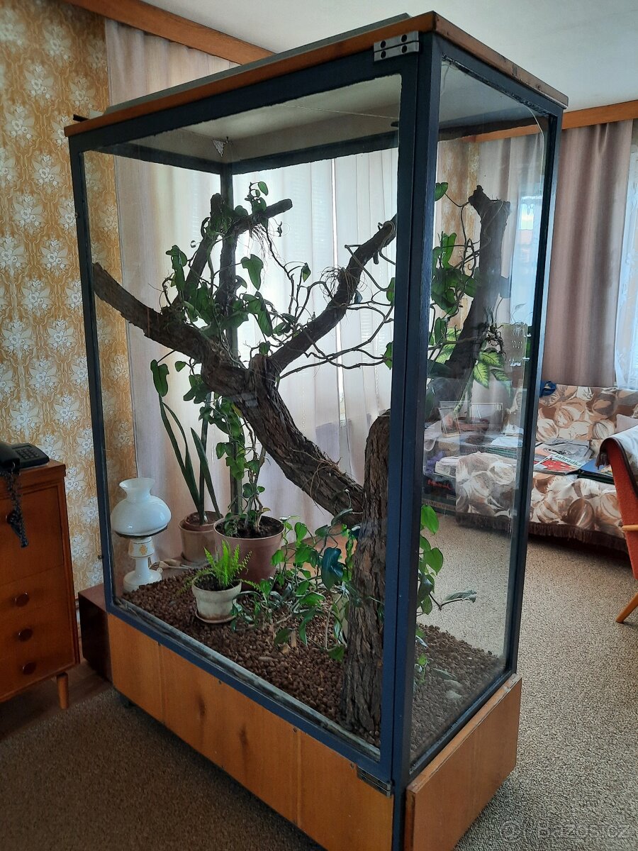 Terárium