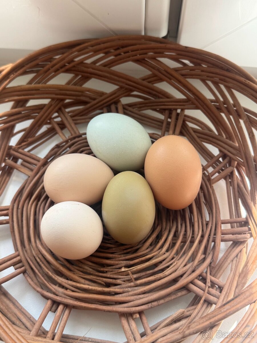 Domácí vejce 50ks