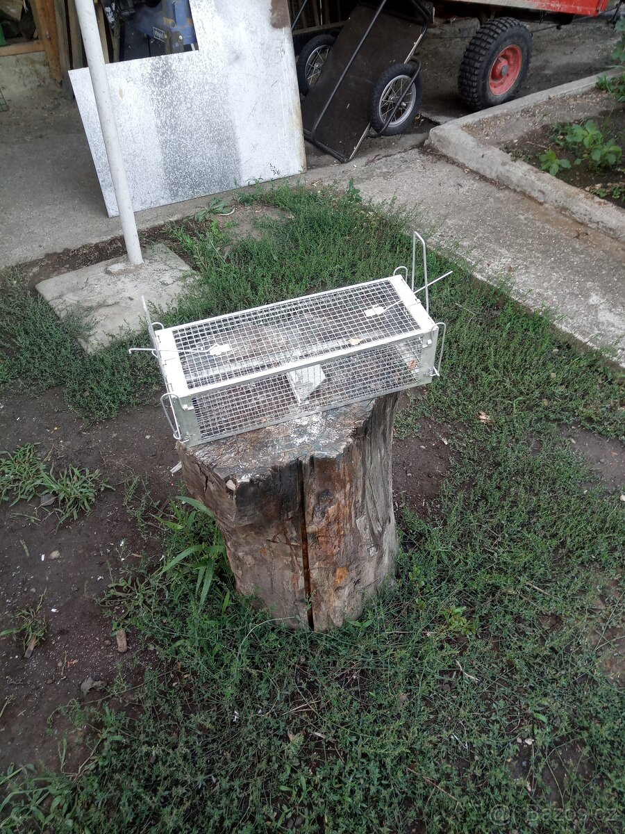 Sklopec na potkany