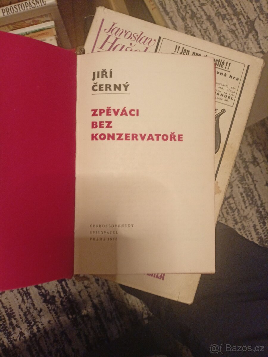 Zpěváci bez konzervatoře