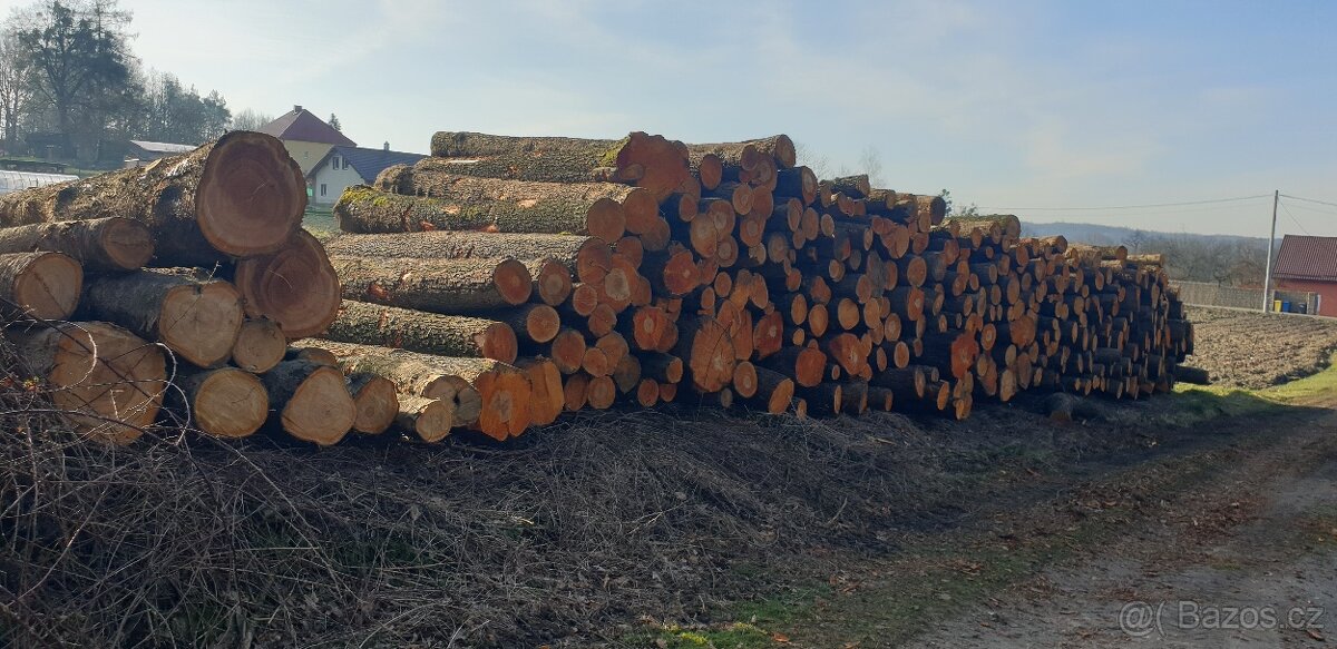 koupím olšovou kulatinu