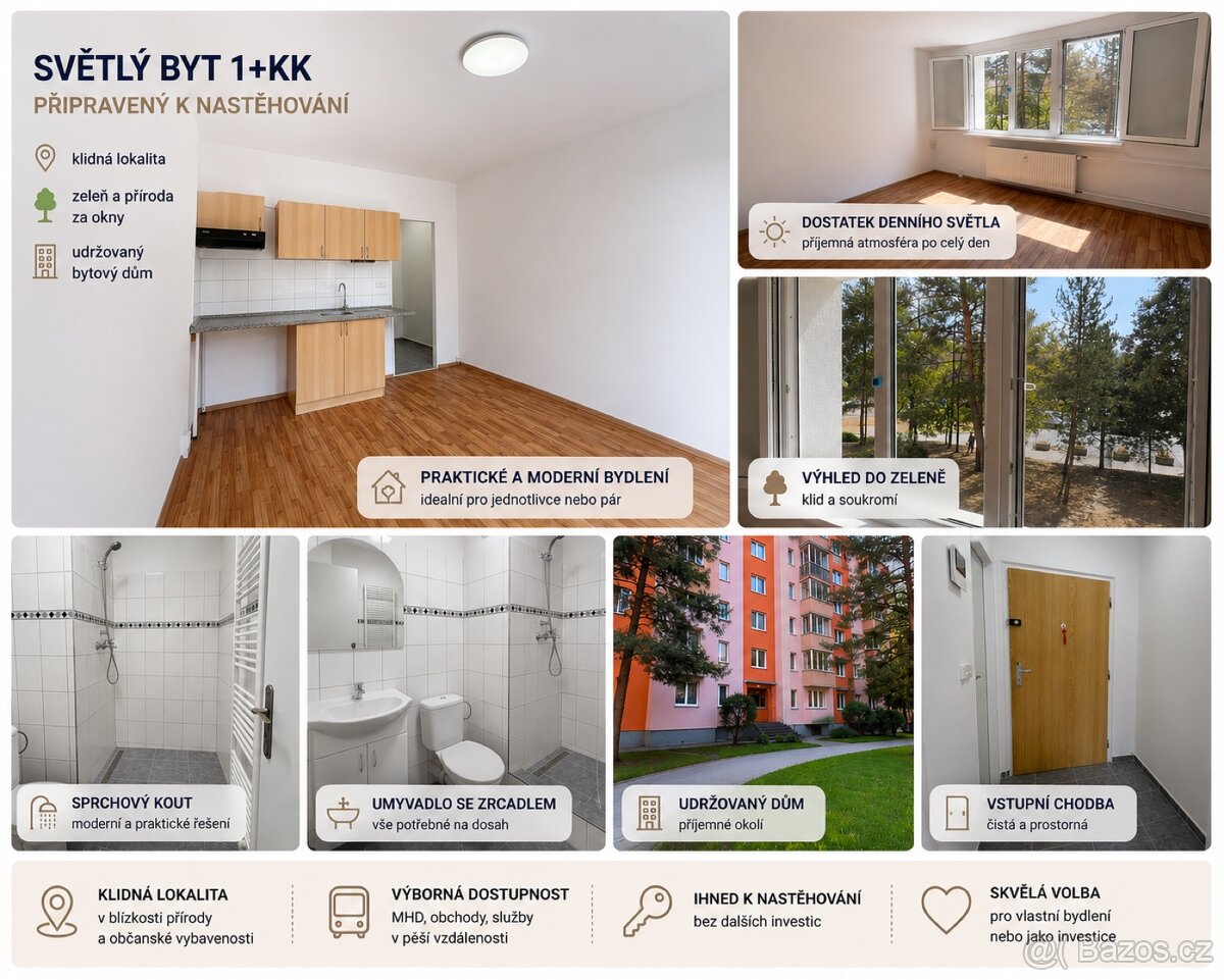 Prodám byt 1+kk, 20 m², Plzeň – Bory, u OC Luna