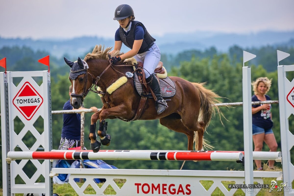 Pony B do sportu