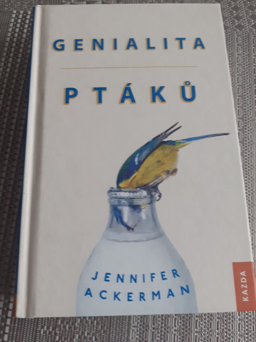GENIALITA PTÁKŮ