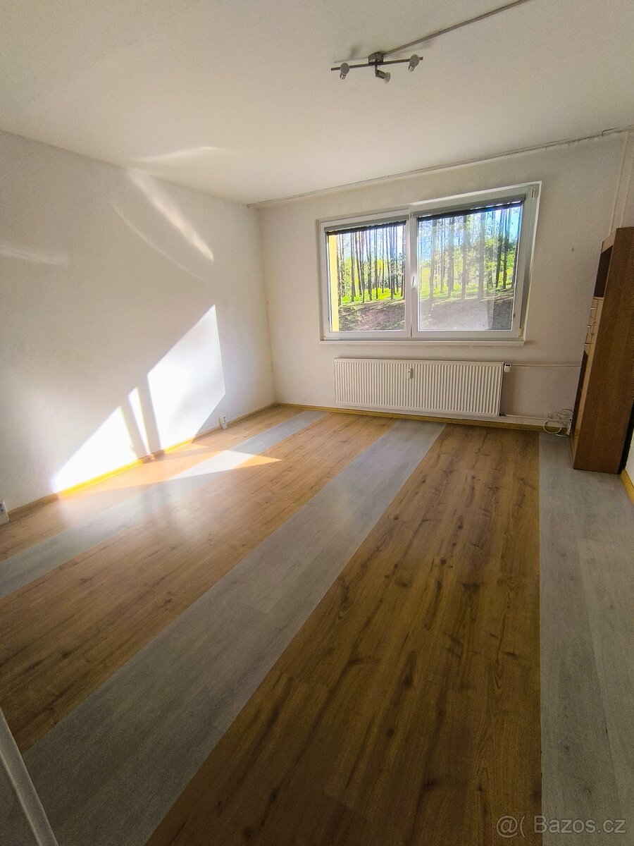 Pronajmu 2+1 ve Stráži pod Ralskem