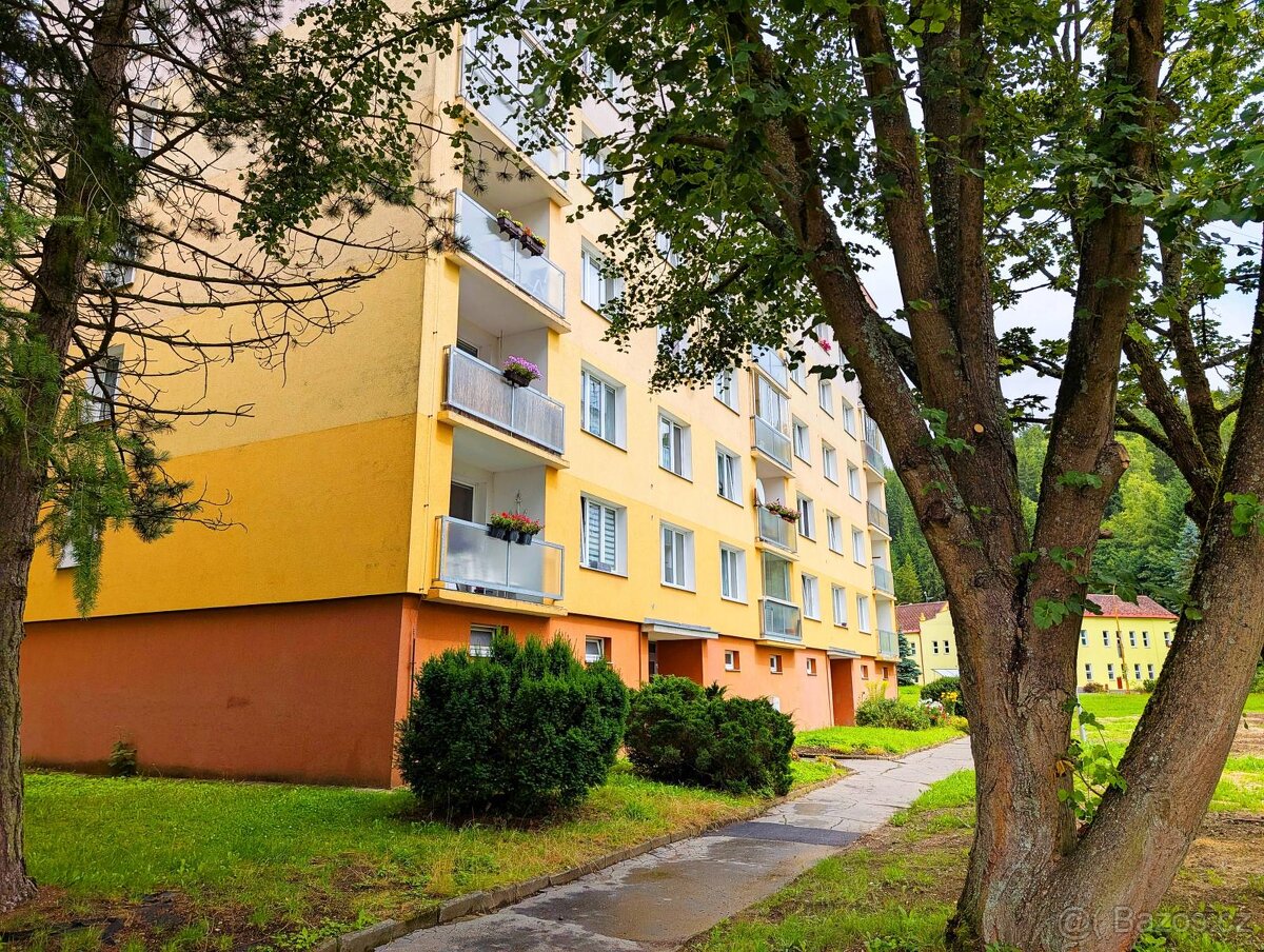 Prodej bytu 1+kk, 22,54 m B. Smetany 1748, Kraslice