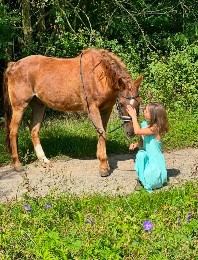 POLOVIČNÍ PRONÁJEM