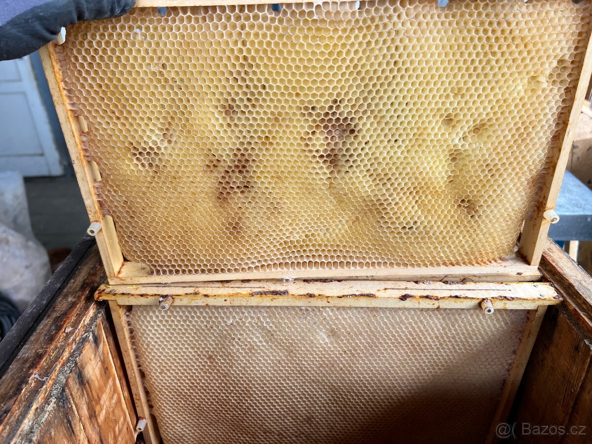 Souše 39x24