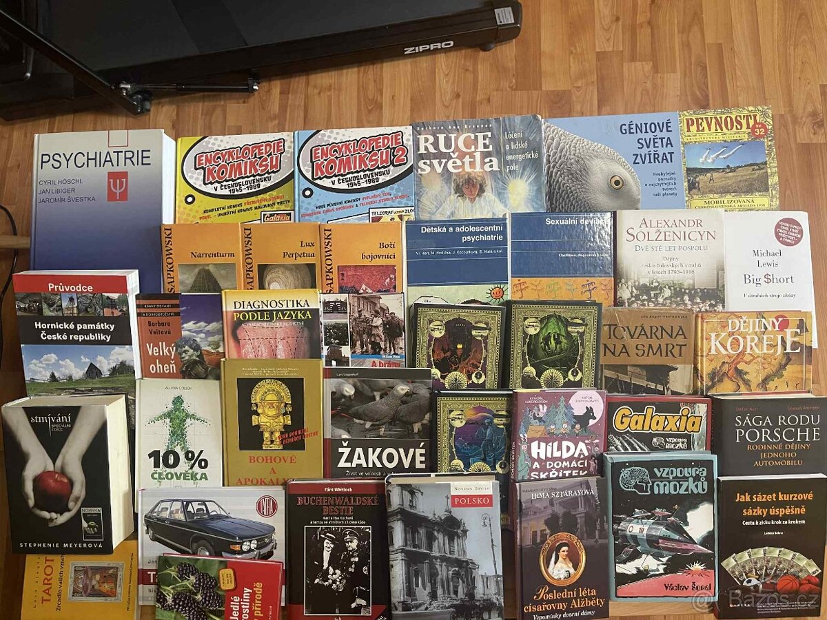 Stmívání,Psychiatrie, Galaxia, Dějiny Koreje,Vládcové nebes