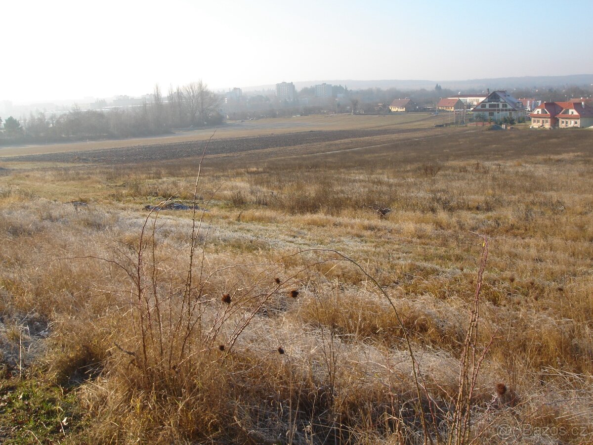 Pronájem zemědělské půdy Znojmo - Přímětice