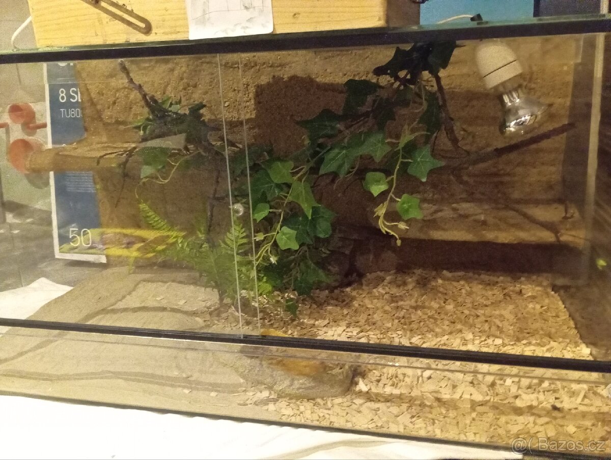 Prodám velké terárium