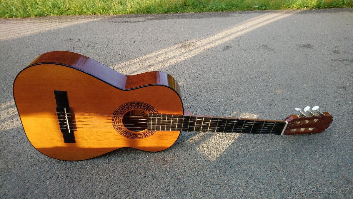 Kytara Alvaro N10