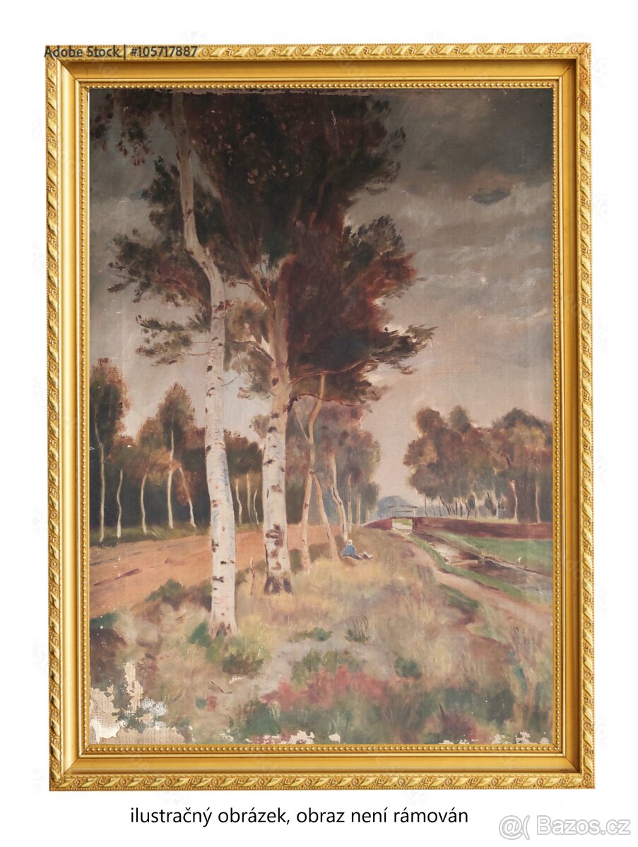 Starožitný obraz, olej na plátne 67 x 47 cm
