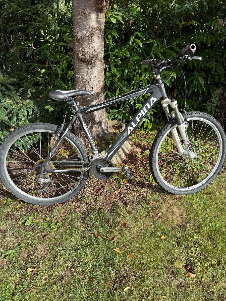 Kolo Alpina