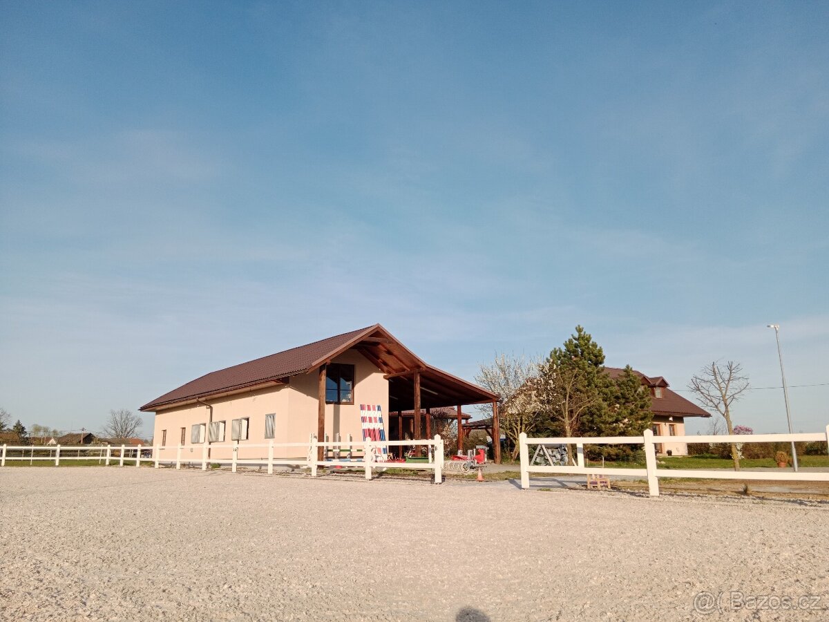 Práce brigáda u koní - Mnichovo Hradiště