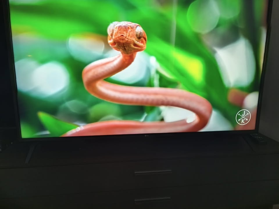 LG 4K Smart 139 cm