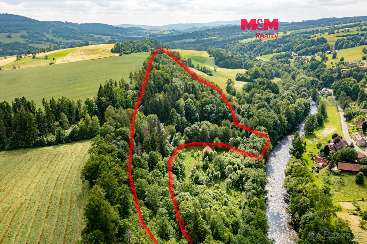 Prodej lesa, 36610 m², Peřimov
