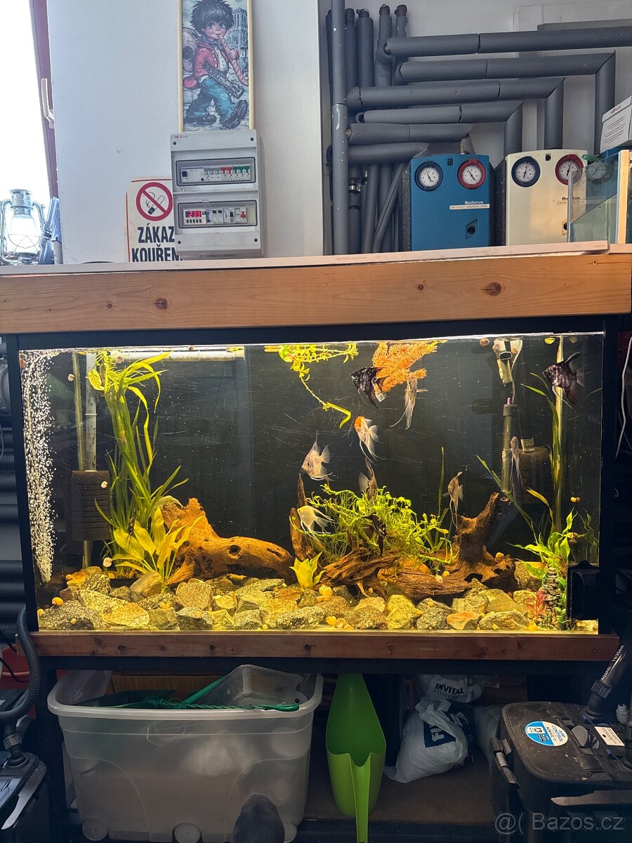 Akvarium 300 litrů