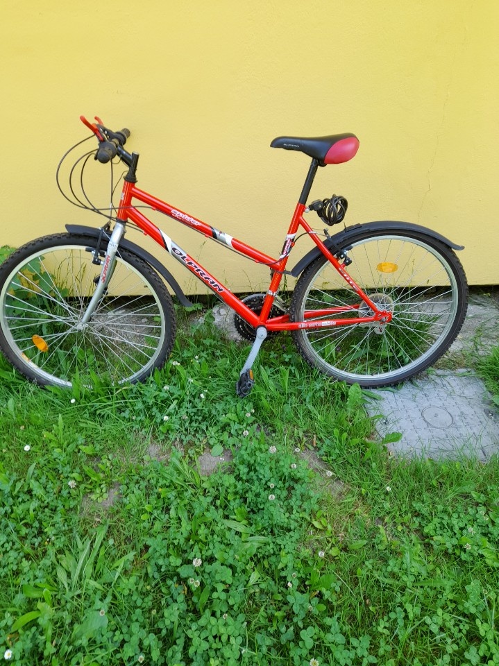 Prodej dívčího kola