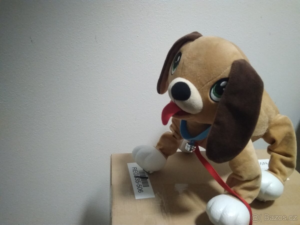 Pejsek Floppy
