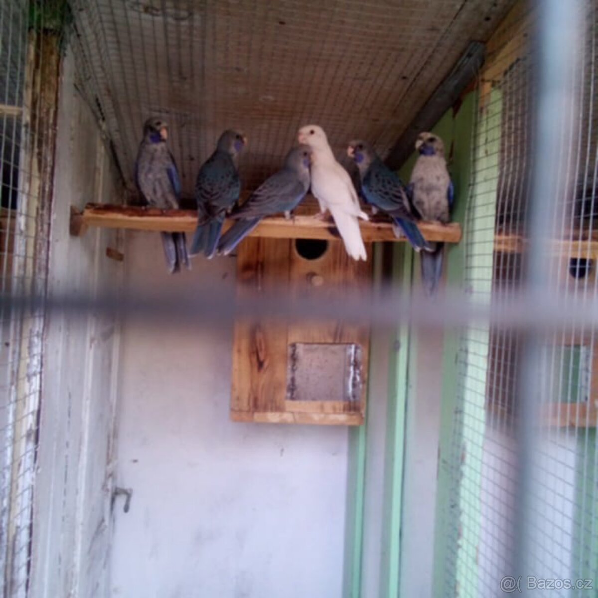 Penant