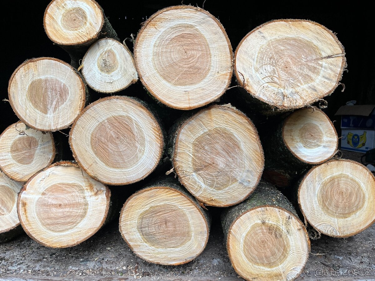 Třešňové dřevo na uzení