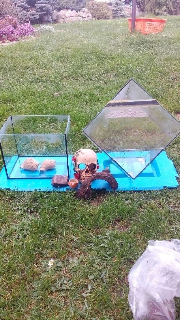 terarium