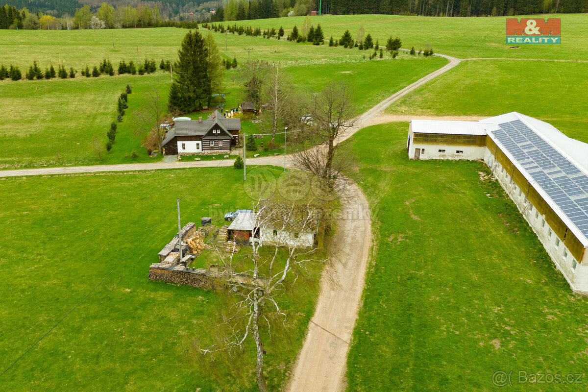 Prodej louky, 403 m², Zdobnice
