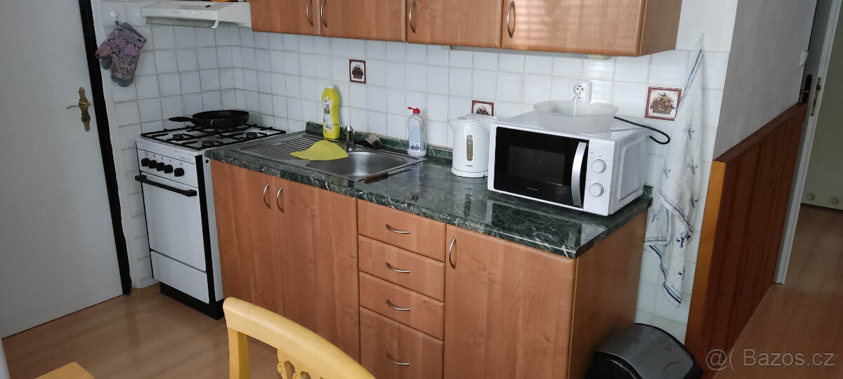 Nabízím spolubydlení