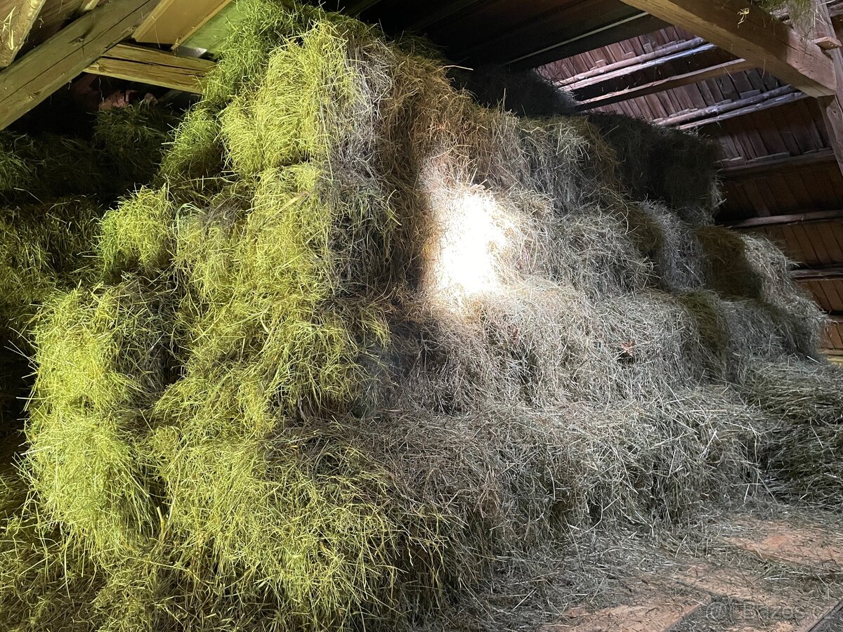 Hranaté balíky sena