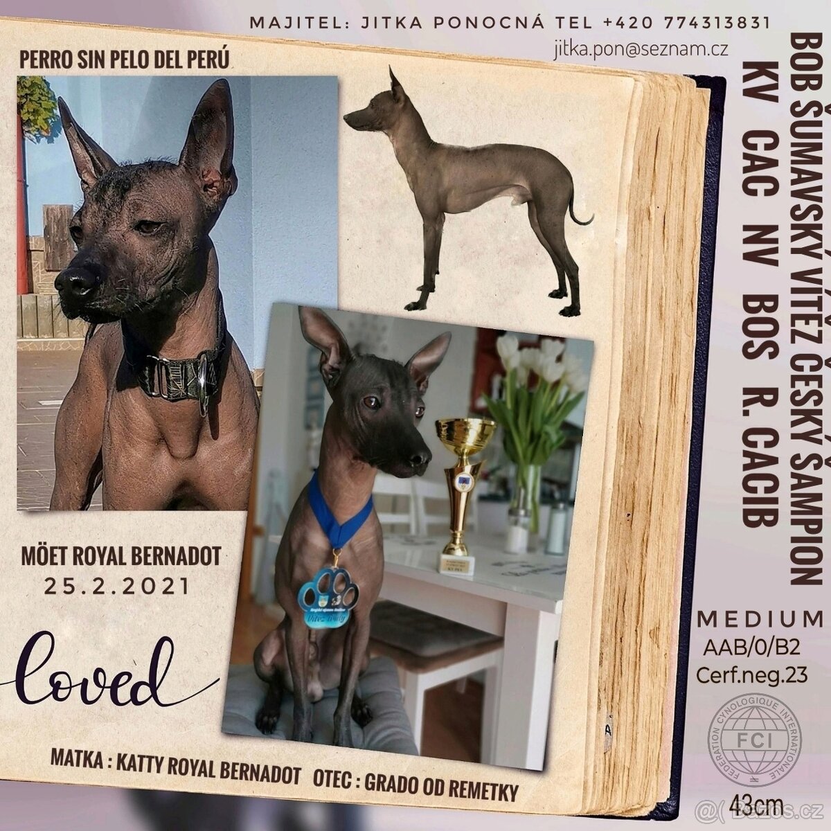 Peruánský naháč krytí