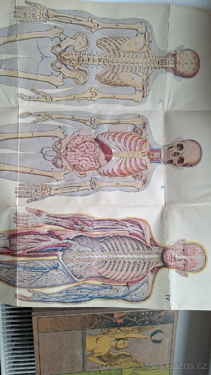 Prodám knihy Přírodní léčba a domácí lékař I. a II.