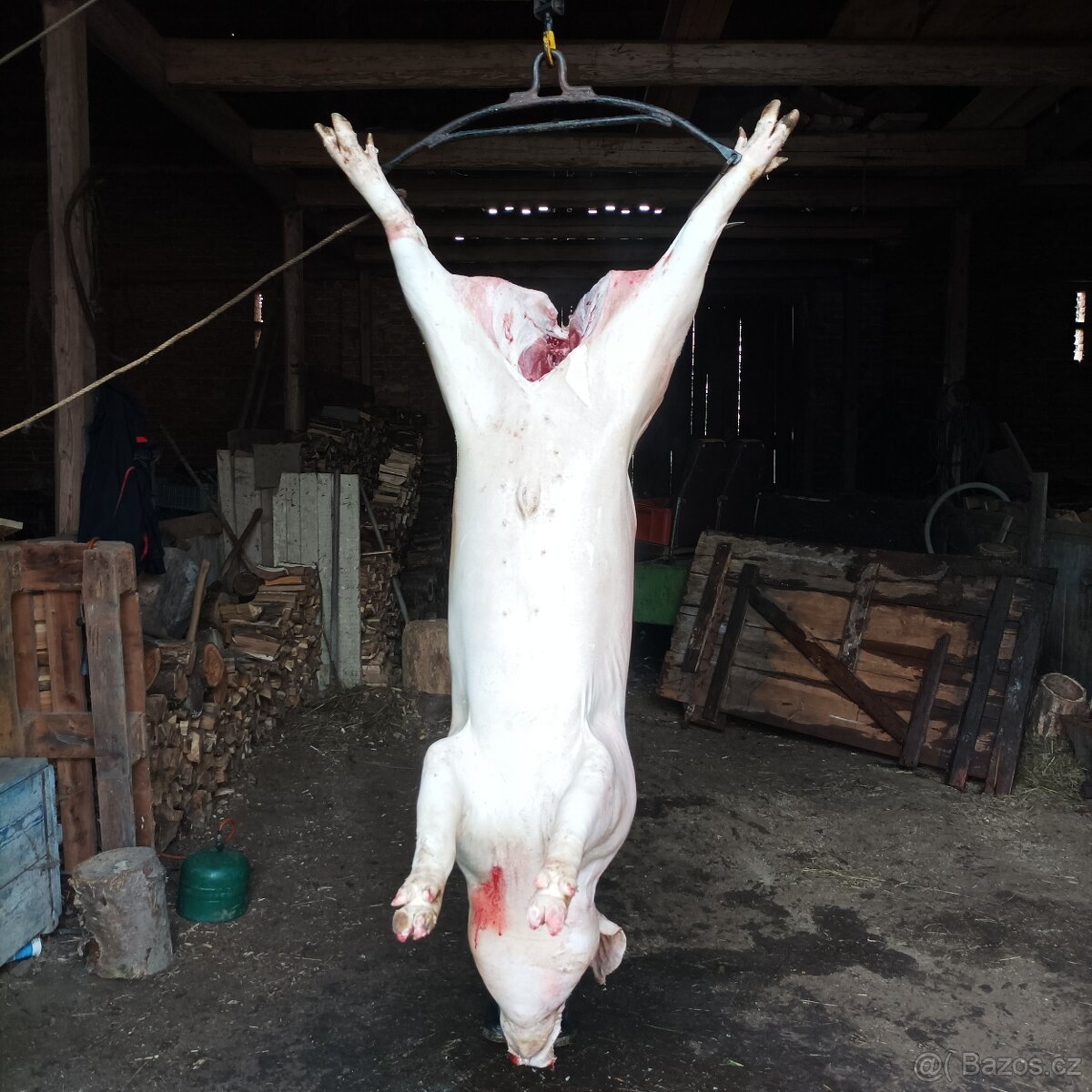 Prodám 1/2 doma vykrmeného prasete