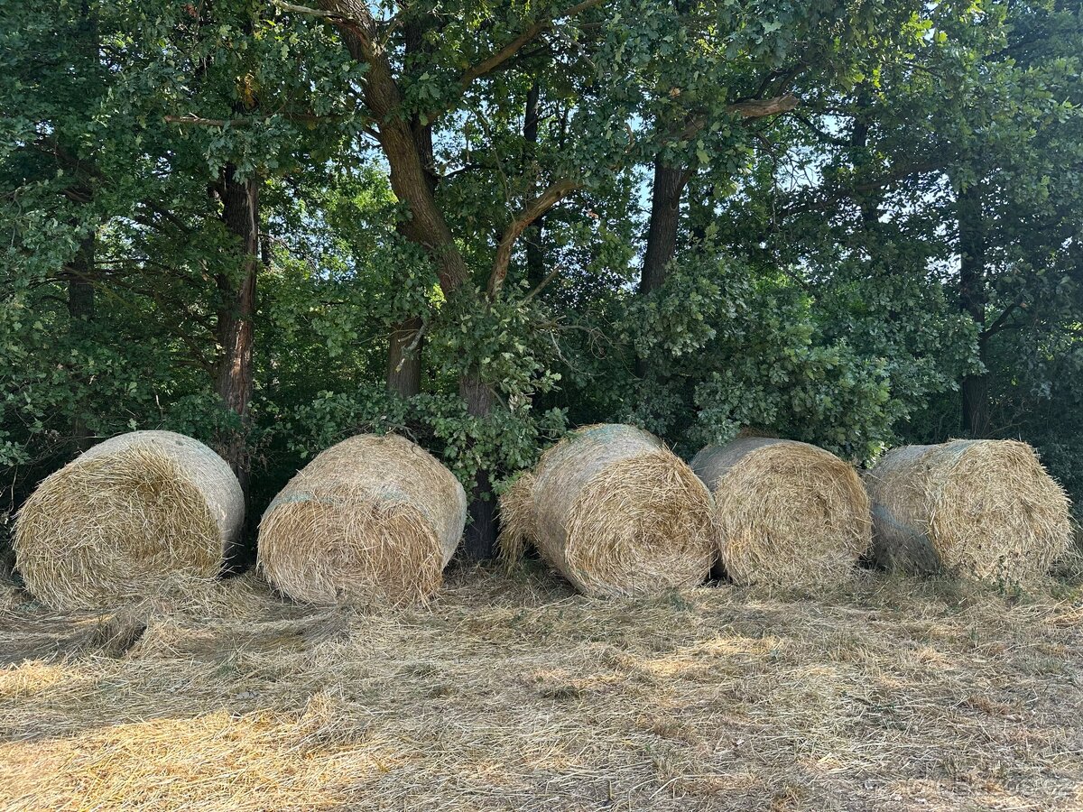 Balíky sena