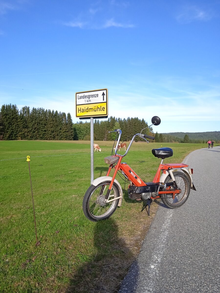 Babeta 207