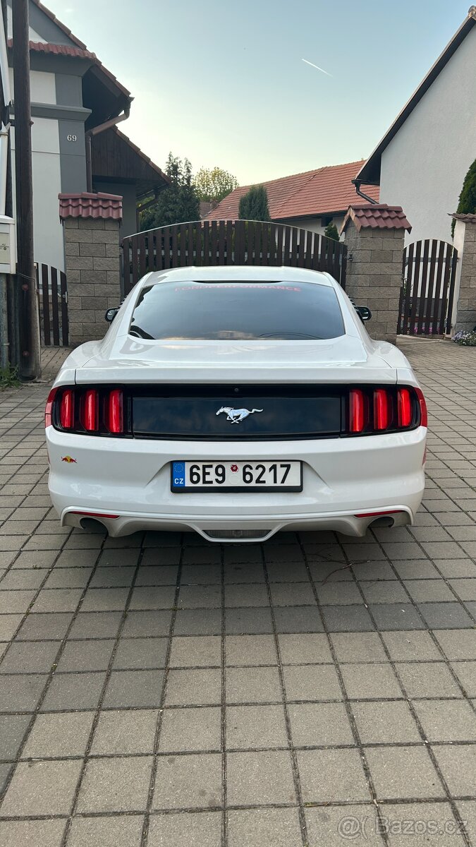 Prodám mustang performance packet