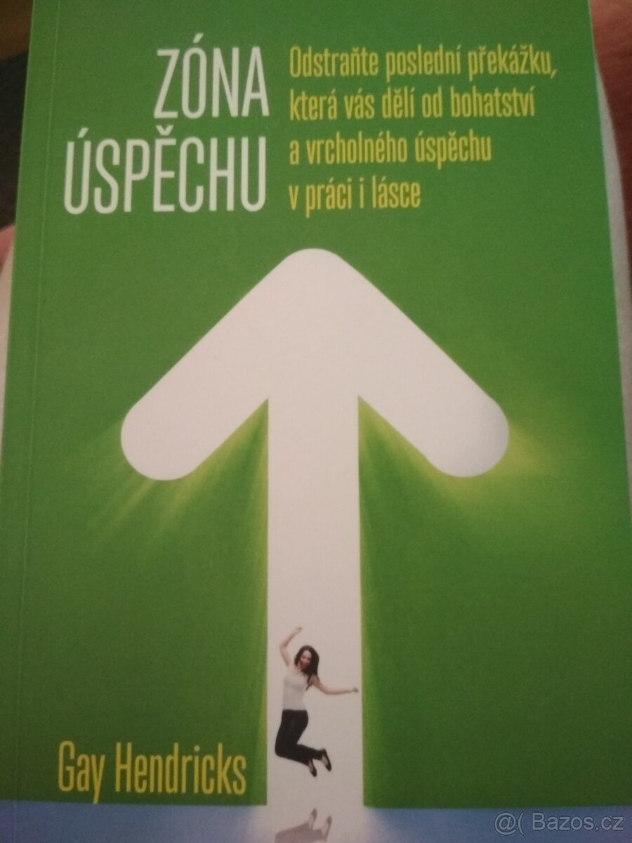 Zóna úspěchu