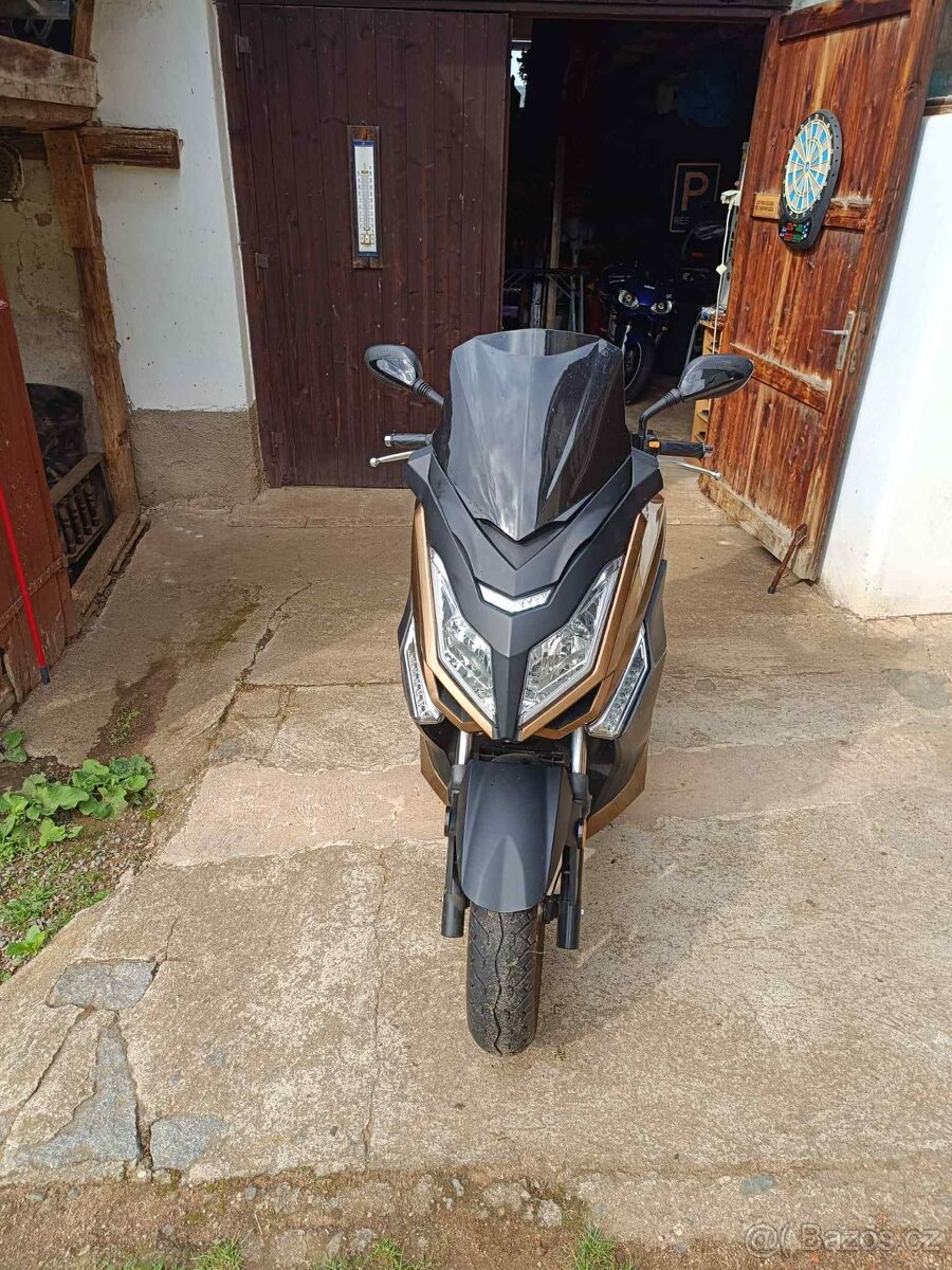 Kentoya Maximus 125ccm ( 2019 )