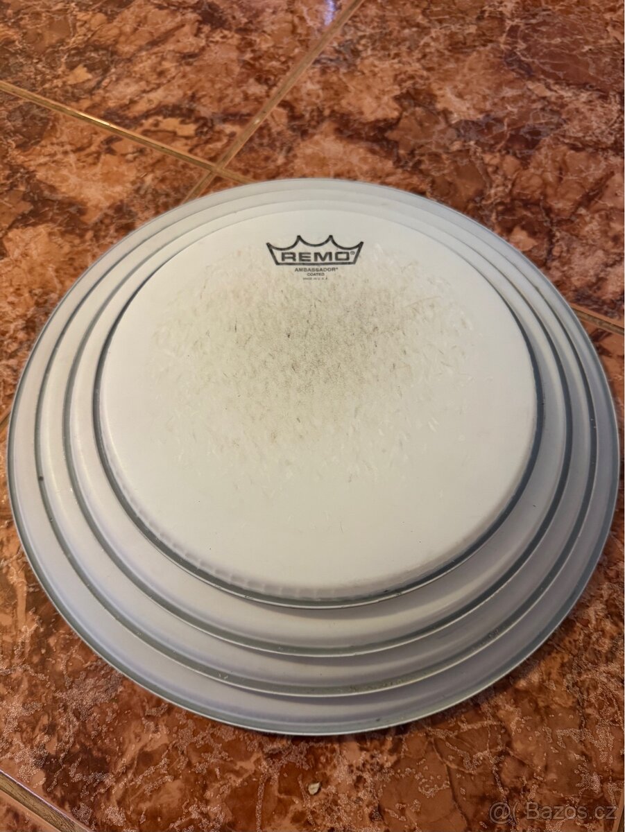 Sada blan Remo Ambassador