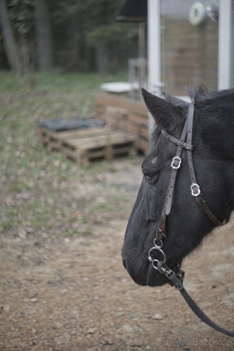 Westernová uzdečka full
