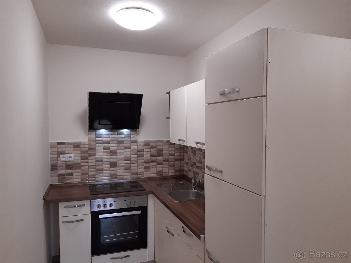 Pronajmu slunný byt 3+1 v Lounech pod Kauflandem