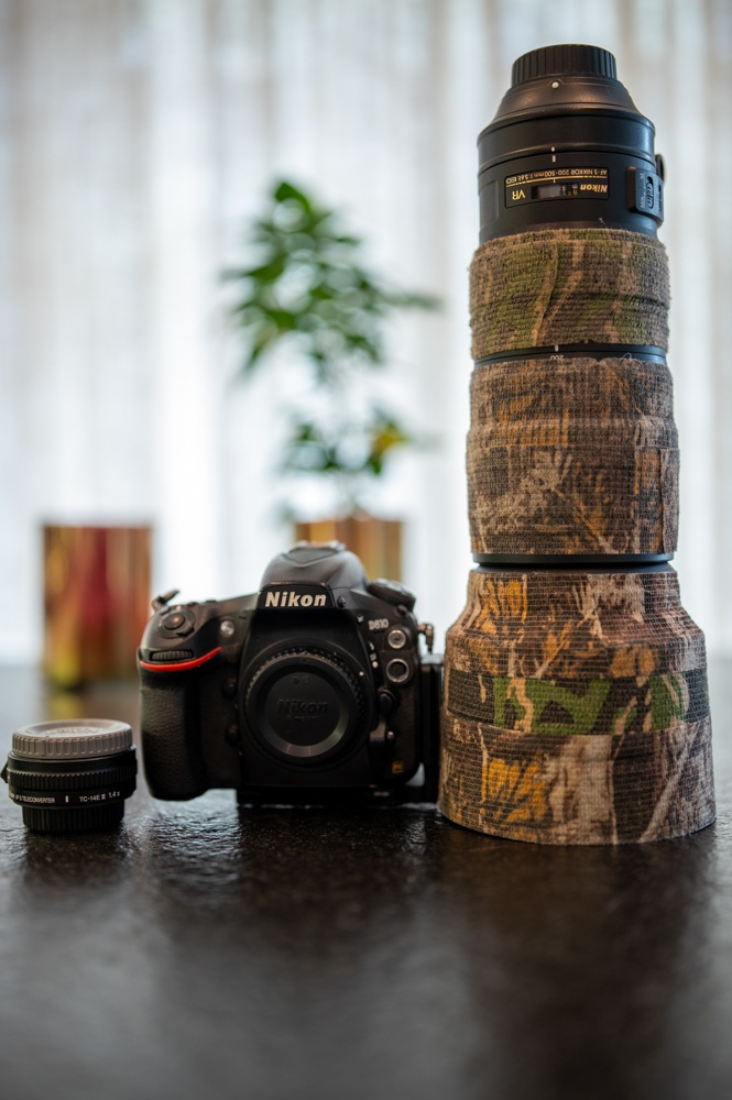 nikon 200-500 >>>ostry kus