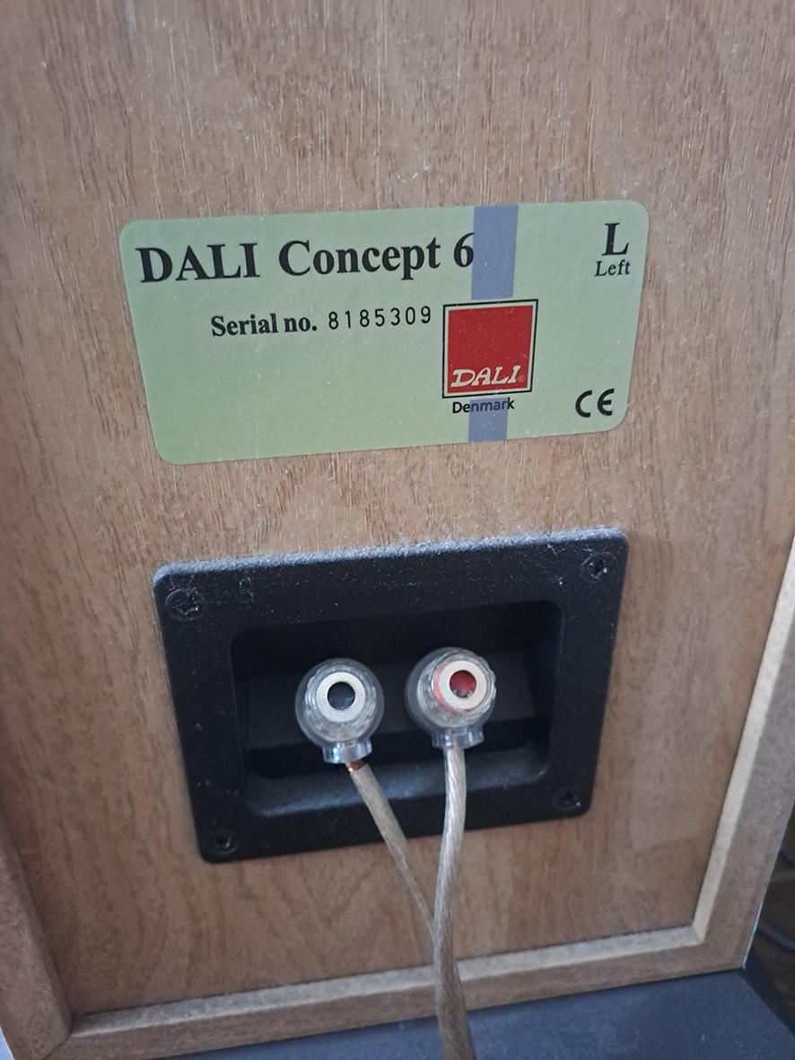 Dali Concept 6