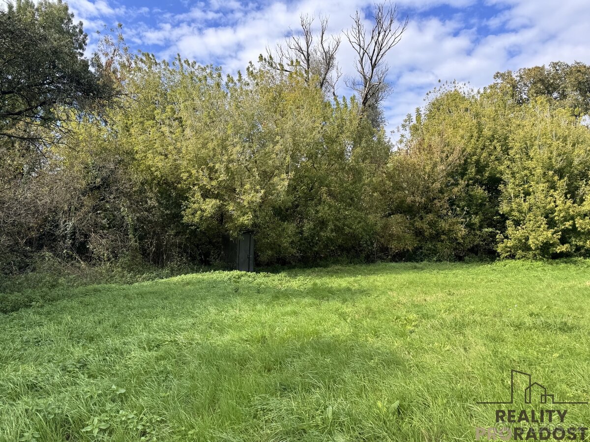 Prodej louky v k.ú. Rohatec u řeky Moravy