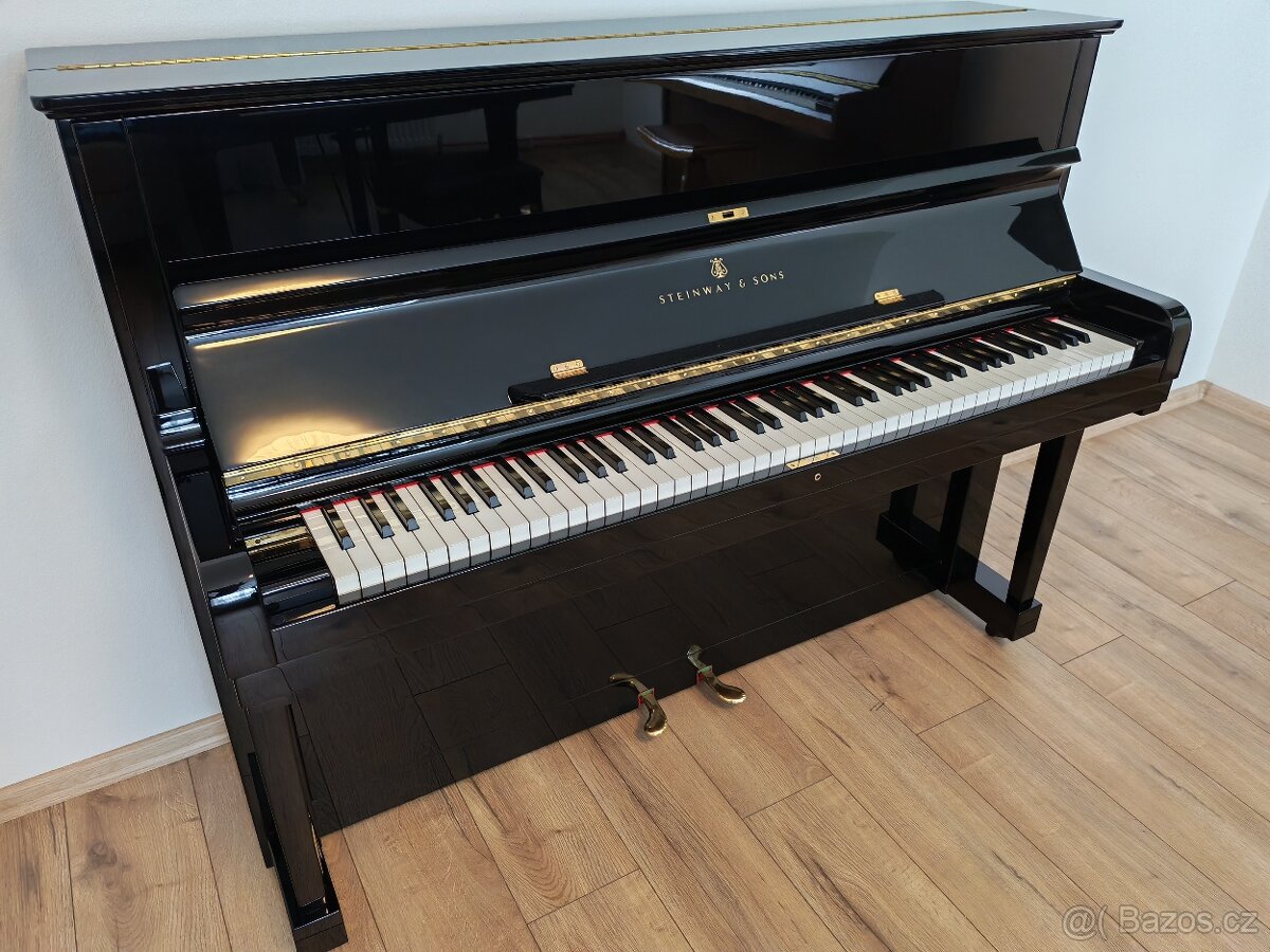 Steinway and Sons dovoz celá ČR