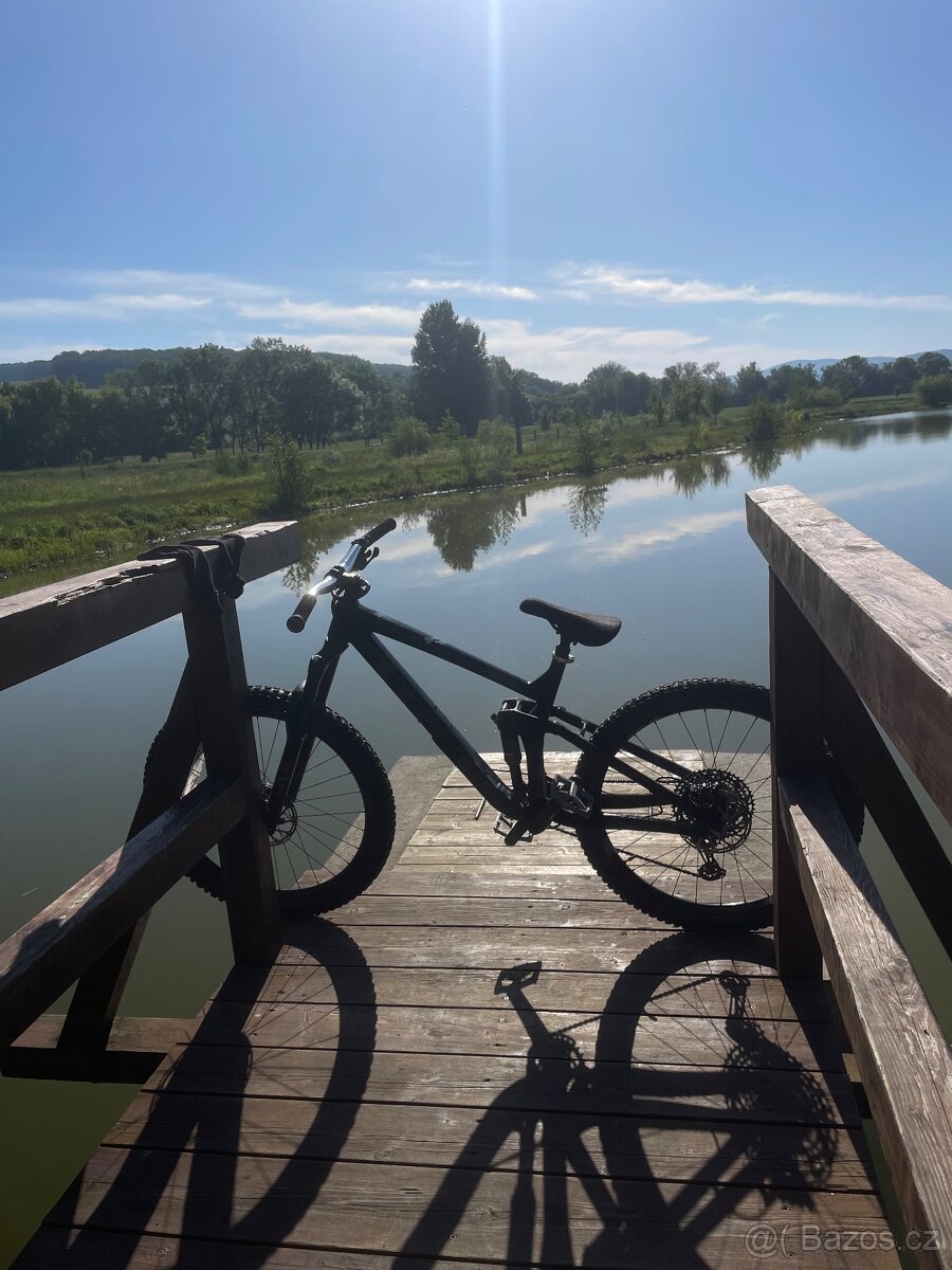 Trek remedy 8 2020