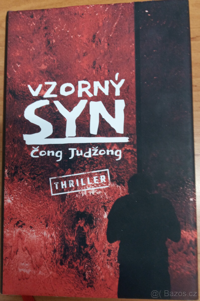 Vzorný syn
